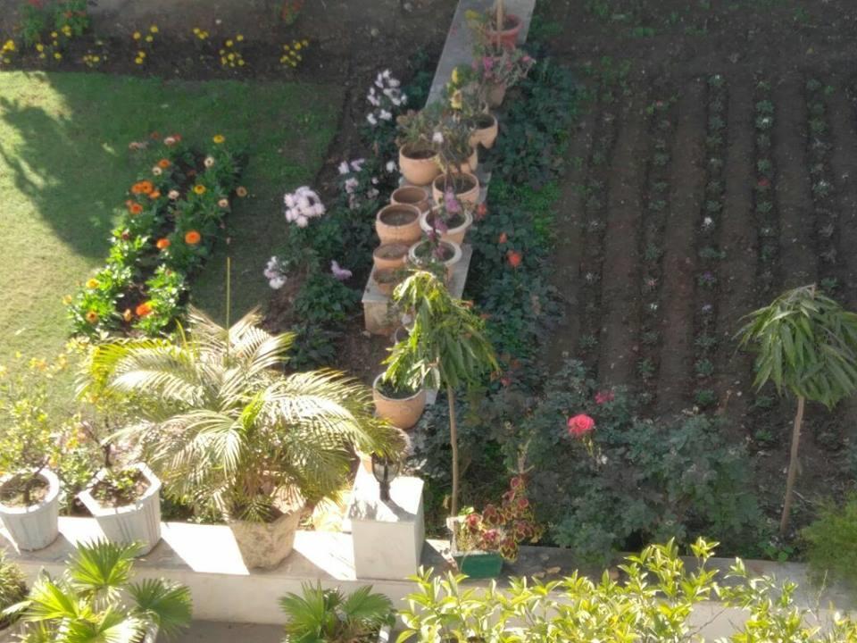 Heritage Homestay Jammu Luaran gambar