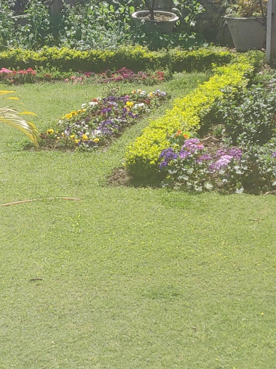 Heritage Homestay Jammu Luaran gambar
